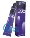 Evo. 5-7 светлый каштановый фиолетовый